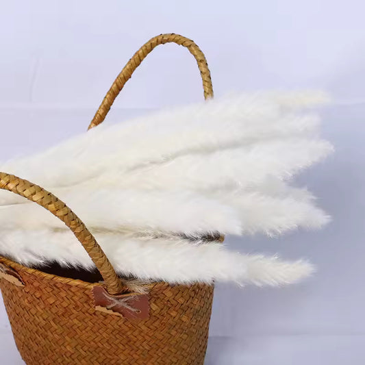 Dried White Spikes: Natural Elegance for your Home | Online shopping